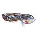 DE96-01045A Assembly Main Wire Harness picture 3