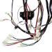 17438200000157 Internal Wire Assembly picture 2