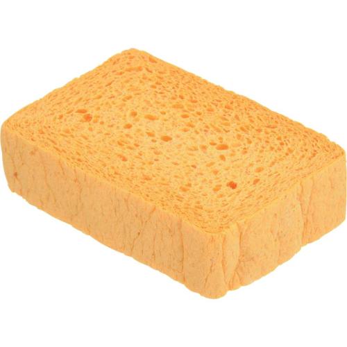 00623653 Sponge picture 1