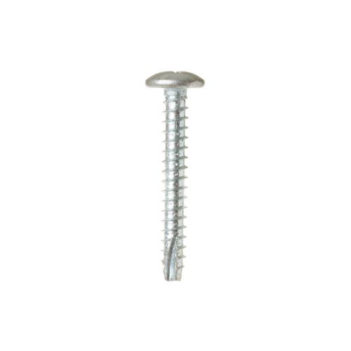 WB02X10720 Screw Tapping Truss Head picture 1