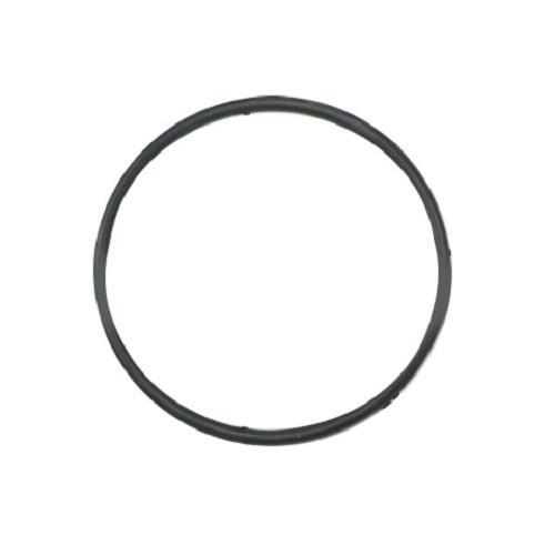 218904301 O-ring,wtr Filter Cup