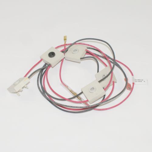 316219024 Wiring Harness,w/igntr Switch picture 1