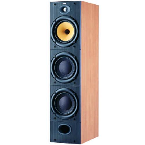 DM604S2 Dm604 S2 Floorstanding Speaker (5 Year)
