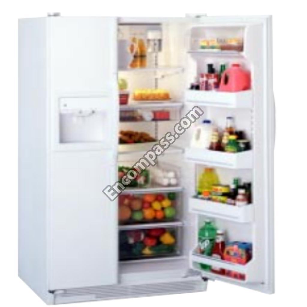 Model Image